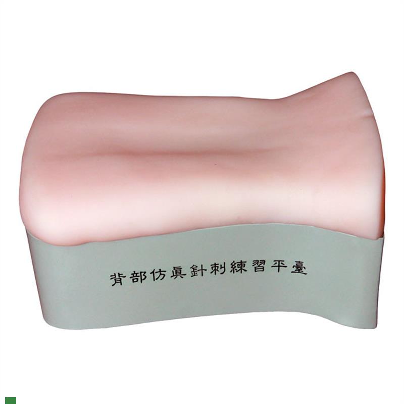 背部仿真针刺练习平台中医针刺背部训N练模型针灸针刺练习