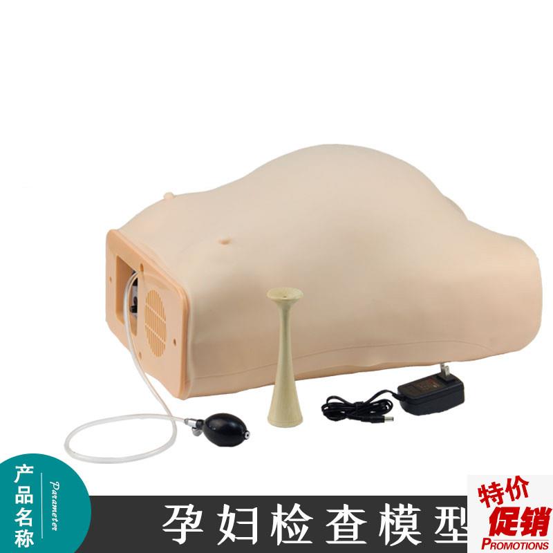 FW2高级电脑孕妇检查模腹部触诊F模型产前检查妇产科训练模型