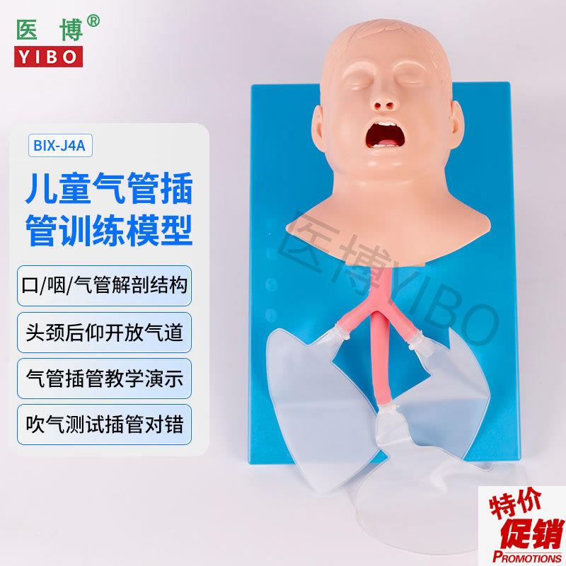 医博儿童人体气管插k管模型教具J4A儿童气管插管训练模型教具医学