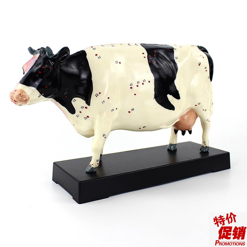 ENOVO颐诺牛针灸穴位模型物解剖模型宠L物模型生物畜牧教学针灸