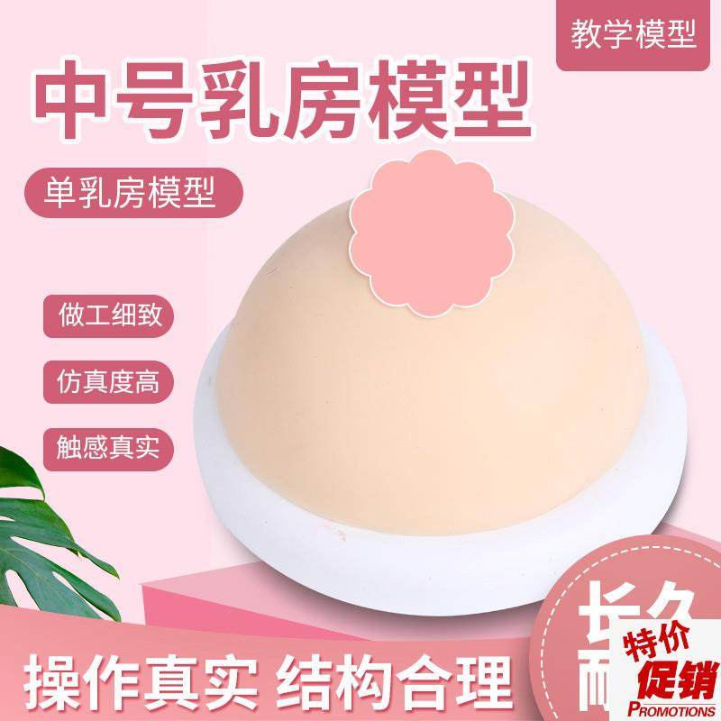 催乳师教具女性乳房o模型硅胶乳房模型催乳师培训医学用假乳房,玩具/童车/益智/积木/模型,其他模型玩具,淘宝优惠券,粉丝福利购,淘宝优惠卷