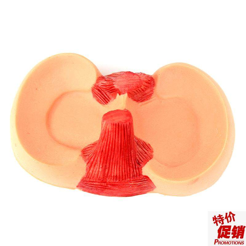 ENOVO颐诺膝关节关节半月z板缝合模型关节镜微创膝盖半月板手术,文具电教/文化用品/商务用品,教学标本/模型,淘宝优惠券,粉丝福利购,淘宝优惠卷