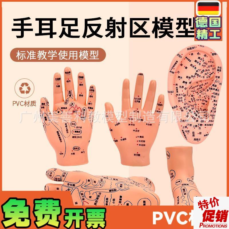 手部穴位针灸模型足底按摩脚C部按摩艾灸穴位足部耳穴模型