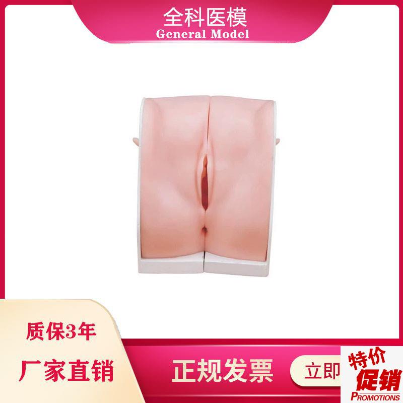 避孕指导模型女性宫内节育器上环取环训练模T型妇科教学用模型