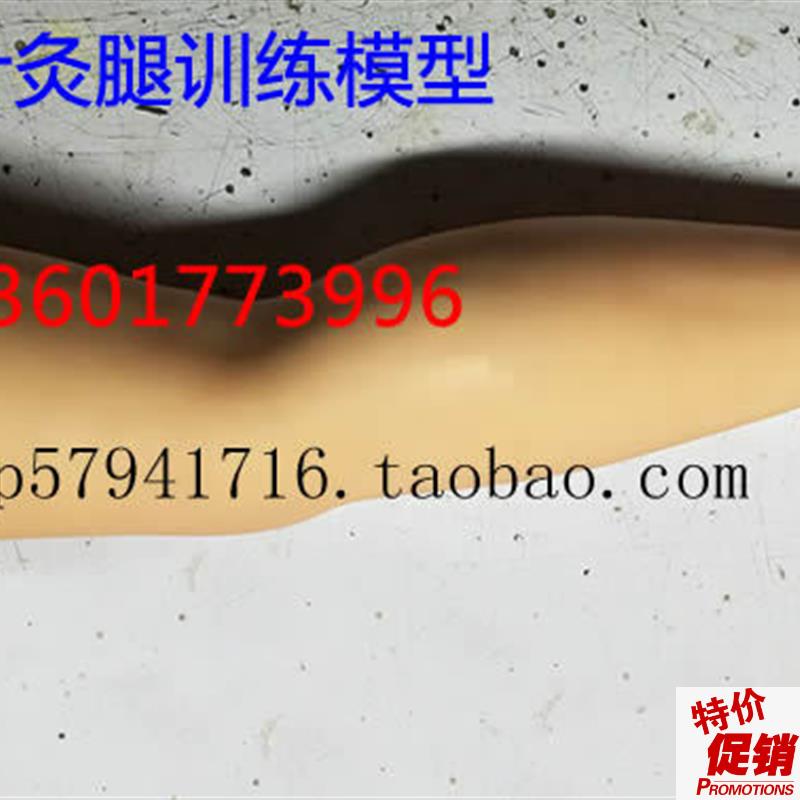 针灸腿训练模型针刺大腿训练模型G成人下肢中医针灸练习模型