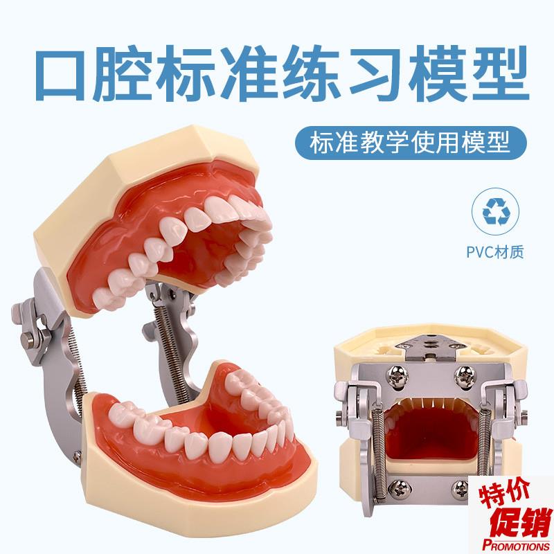 标准牙颌模型口腔j科备牙排龈练习牙齿可替换日进牙颌配FE咬合架