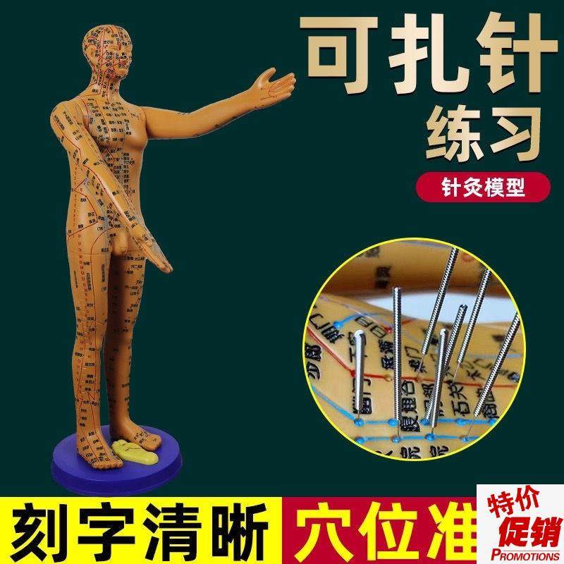 董氏奇穴c穴位人体模型十二经络模特图全身中医针灸教学培训小铜,文具电教/文化用品/商务用品,教学标本/模型,淘宝优惠券,粉丝福利购,淘宝优惠卷