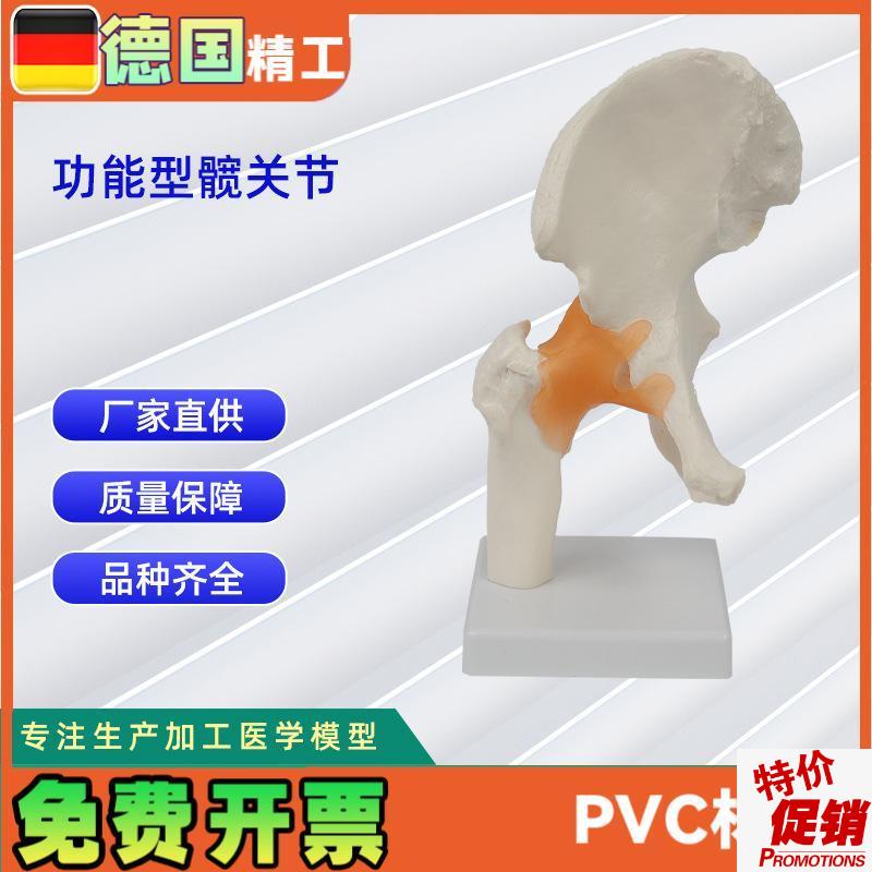 功能型髋关节模型人体骨骼V模型教学模型