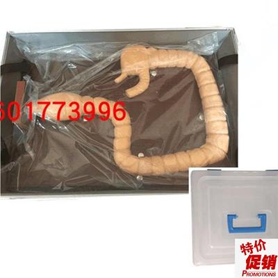 乙状结肠镜检查模q型教学练习肠道自然大肠镜模型