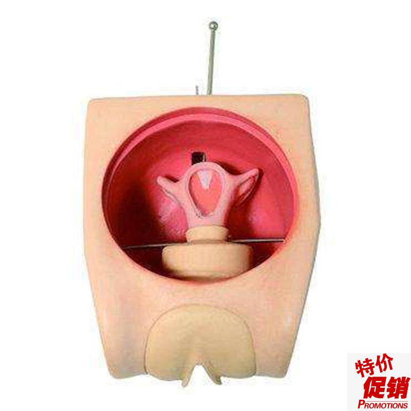 妇科技能训练检查计划生育教学育练习模型宫内避T孕器上环取环模