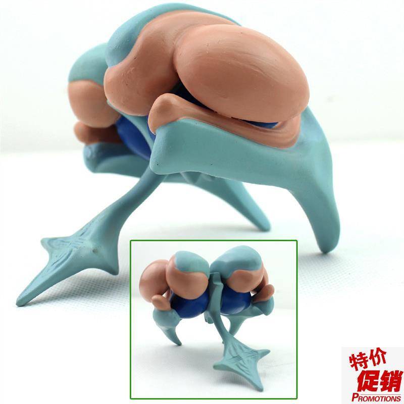 ENOVO颐诺j大脑基底核脑室铸型模型丘脑模型大脑室铸型尾状核上