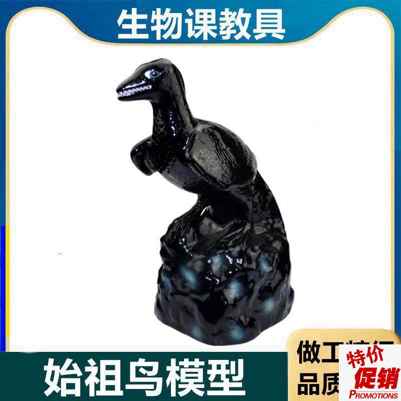 始祖鸟化石复原模型生物t实验器材教学仪器鸟的起源进化论中学