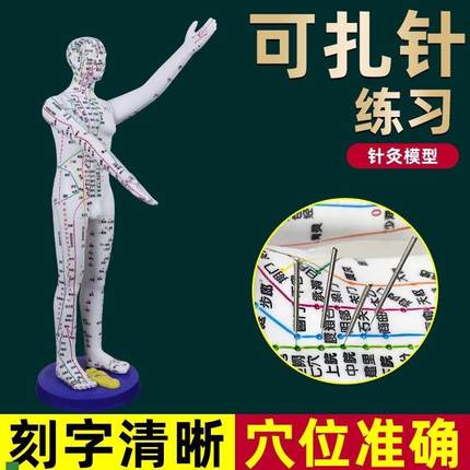 董氏奇穴人体f模型仿真大号中医针灸可扎针十二经络铜人全身穴位