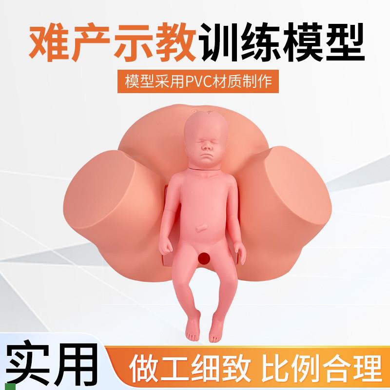 高级助产示教模型l分娩演示妇科检查模型生产分娩演示肩产难产