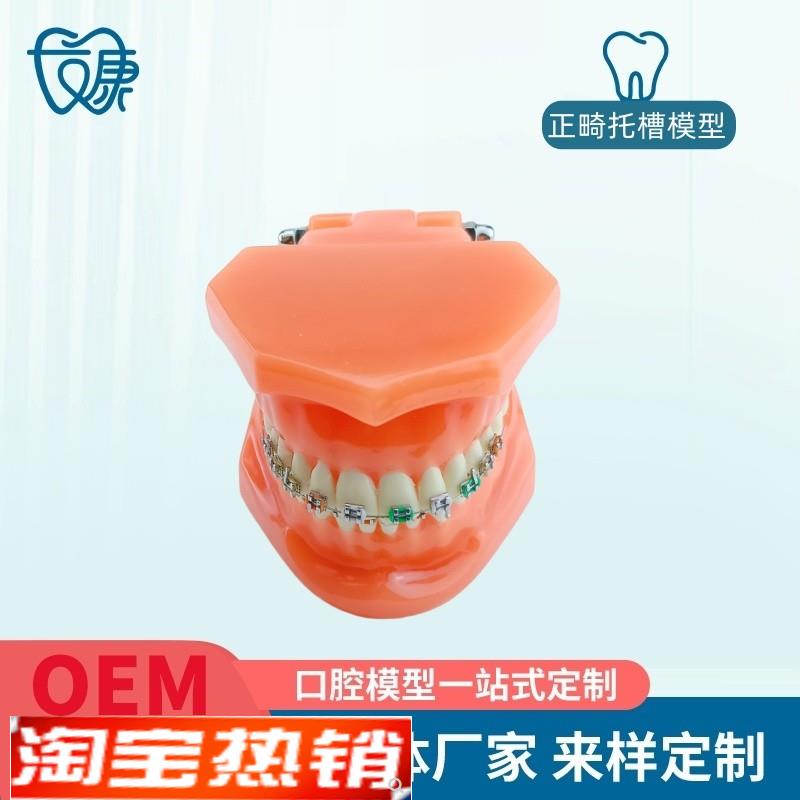 正畸错位牙齿模型牙齿矫正模型厂家直供H口腔教学模型牙齿托槽矫