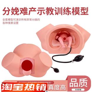 分娩示教模型高级助产示教训练模型妇产科难P产助产分娩教学模型