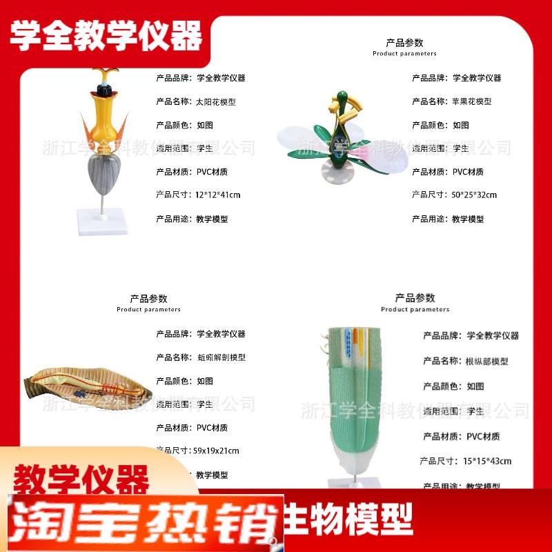 高中生物模型g教学演示教具生物动物模型植物模型生物教学仪器