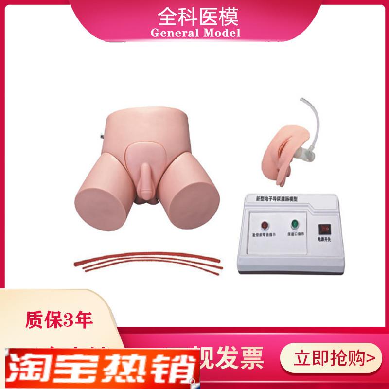 电子导尿灌肠教学实习模型男女护理导尿训练操作模.具教学仪器