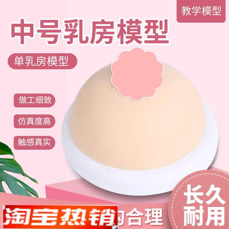催乳师教具女性乳房模型u硅胶乳房模型催乳师培训医学用假乳房,玩具/童车/益智/积木/模型,其他模型玩具,淘宝优惠券,粉丝福利购,淘宝优惠卷