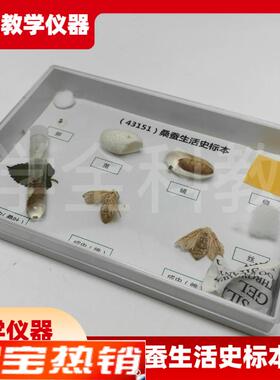 科普教学用动物标本43151桑蚕生活史发育标本真实昆X虫标本科普用