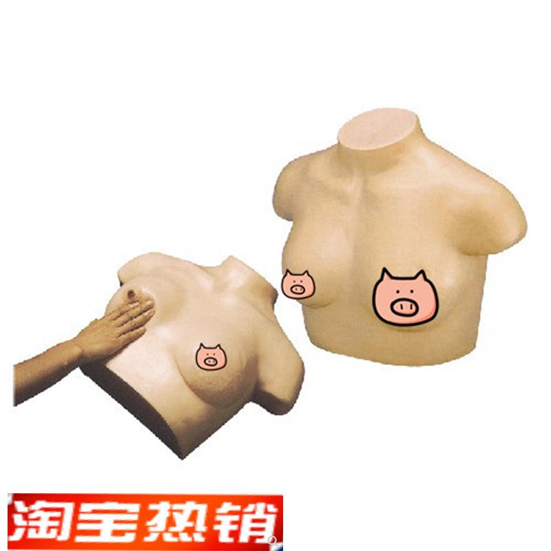 F7B高c级乳腺视诊与触诊模型
