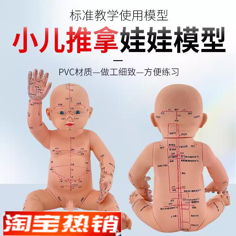 婴儿人体模型儿童娃娃人r体模型针灸中医通用穴位小孩推拿彷真模