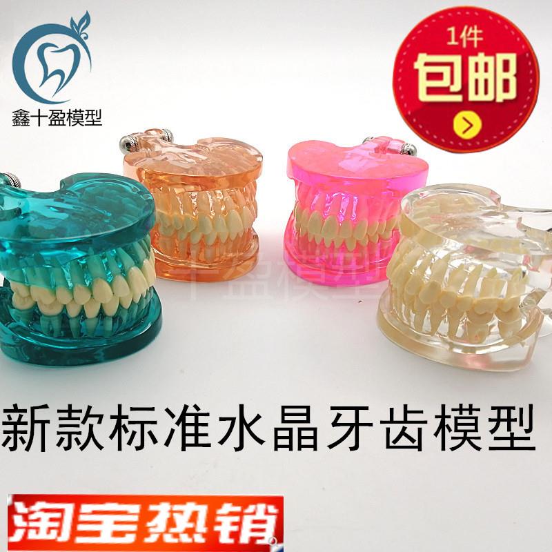 牙科口腔模型新款标准牙齿透明z水晶模型全口28颗牙齿模型包邮