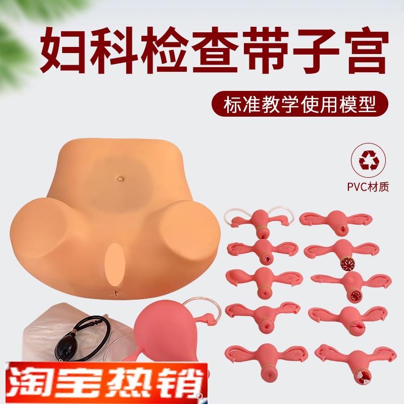 妇科检查模型妇科训练模型妇产科技能操作训练T模型医学用教学具