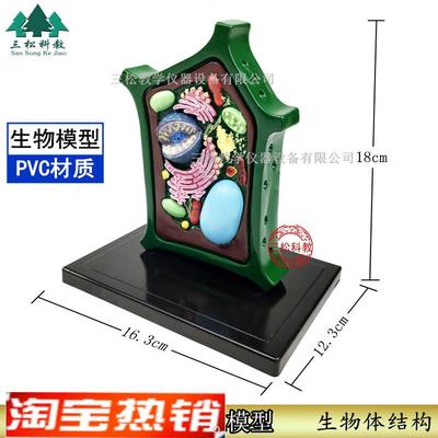 植物细胞模型生物解剖模型植物显微标本教学S教具细胞放大模型