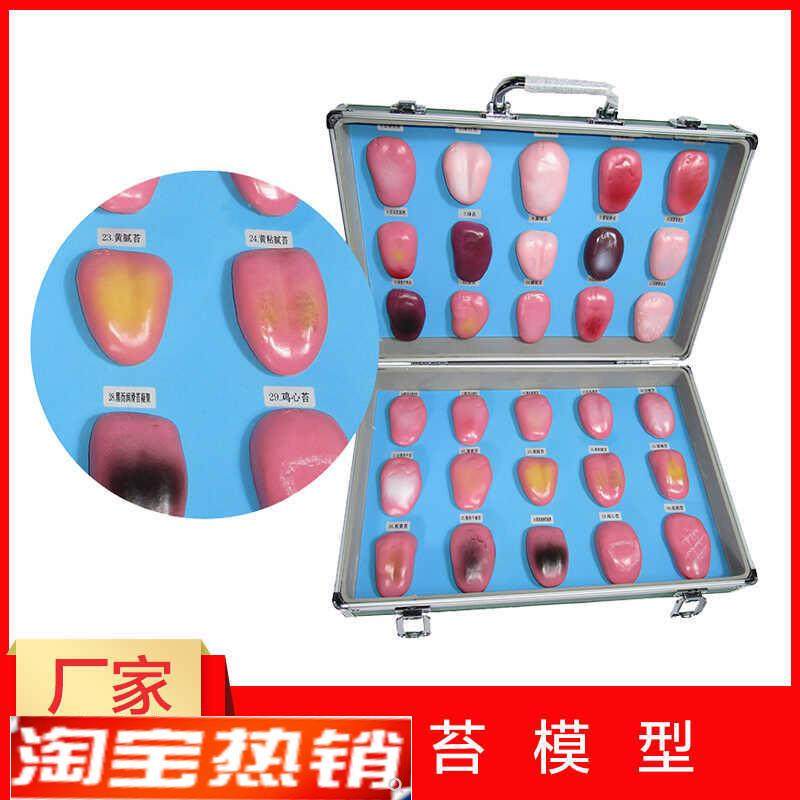 人体舌头舌苔模型常见病舌苔病B变比较中医口腔望诊教学解剖模型,文具电教/文化用品/商务用品,教学标本/模型,淘宝优惠券,粉丝福利购,淘宝优惠卷