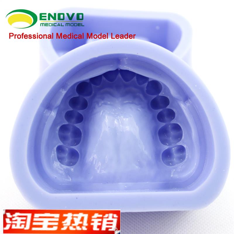 颐诺正品硅胶标准牙颌硅橡胶阴模口I腔技工口腔科齿科牙颌石膏