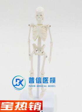 21cm白色迷你型医用D美术绘画瑜伽人体全身骨骼骷髅骨架模型送支