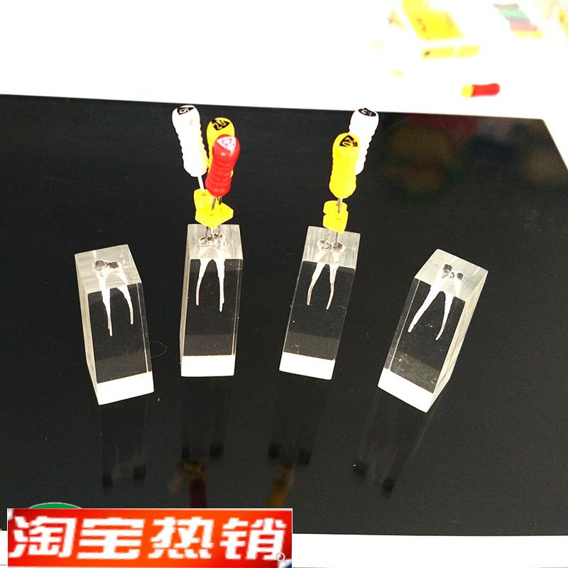 ENOVO颐诺牙体牙髓教s学实践模型根管练习预备充填练习RCT口外操