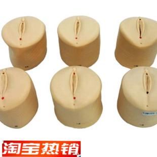 产前宫颈变化模n型产前宫颈变化与产道关系模型