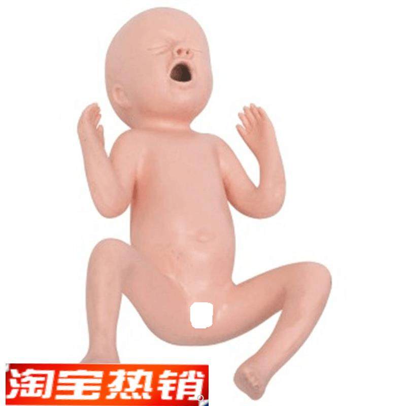 高级24周早产儿模型出生儿模M型早产儿护理模型