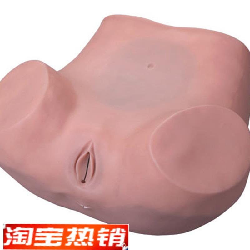 高级妇科训练模型