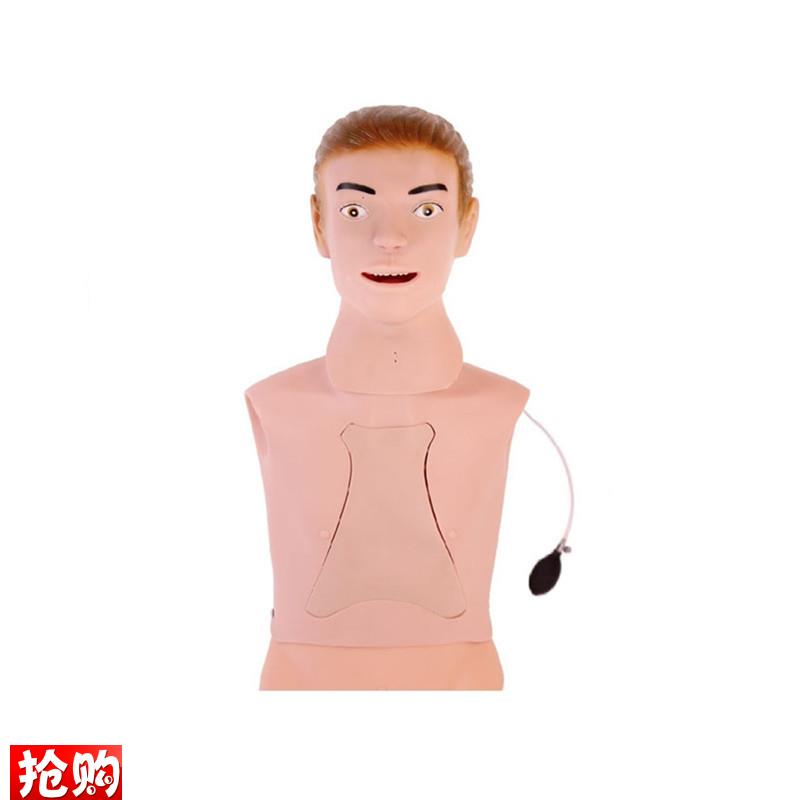 高级鼻胃管与气管护理模B型鼻饲管洗胃教学训练模具
