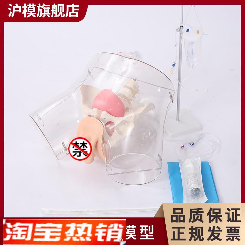 沪模HM/HD5/HD6透明导尿模型v导尿操作演示训练模型男性女性导尿