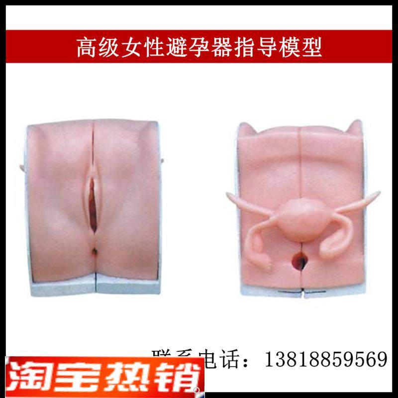 直销女性避e孕器指导练习模型妇科训练用医学计划生育实习检查模