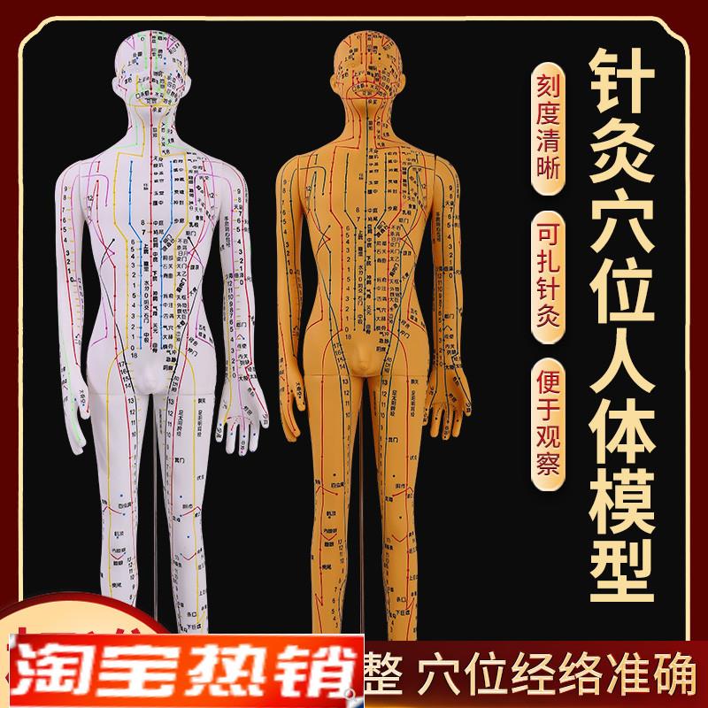 全铜色人体针灸模型人经络v穴位中医全身十二铜人模特图可扎针练