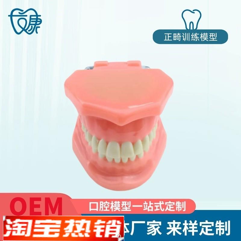 正畸错位牙齿模型k牙齿矫正模型厂家直供口腔教学模型牙齿托槽矫