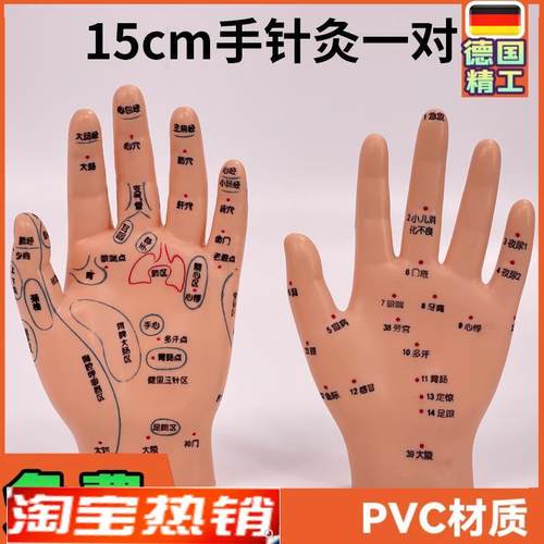 超清晰小儿手部反射区模型中医推拿针灸教学穴位模V型儿童仿真手