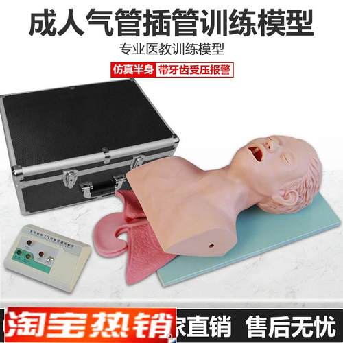 继科高级电子人体气管q插管模型(带报警)急救插管练习厂家直销
