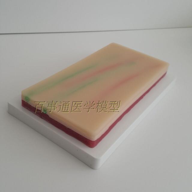 静脉穿刺训练模型,抽血训s练示教模型,输液注射模型,手臂皮肤模型