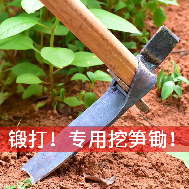 挖冬笋专用锄头挖笋神器家用老式种菜挖地翻土多功能农具工具农用,鲜花速递/花卉仿真/绿植园艺,锄头,淘宝优惠券,粉丝福利购,淘宝优惠卷
