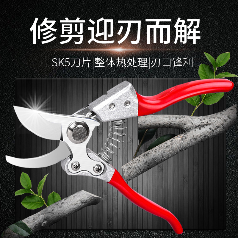 园艺花剪修花剪刀家用花草省力修枝剪园林工具果园果树剪枝剪剪刀