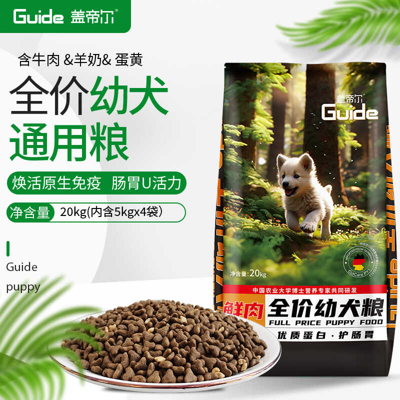 盖帝尔幼犬泰迪金毛拉布拉多
