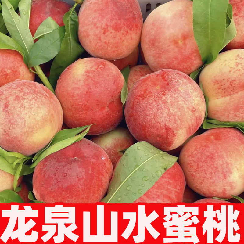 【龙泉山水蜜桃】四川龙泉山水蜜桃新鲜桃子毛桃新鲜应季水果