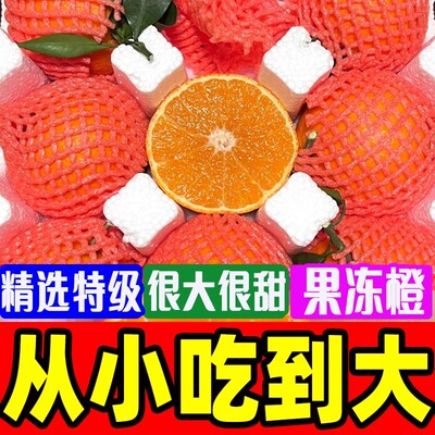 【防冻装 寒冷地区拍】正宗四川眉山爱媛果冻橙新鲜整箱包邮