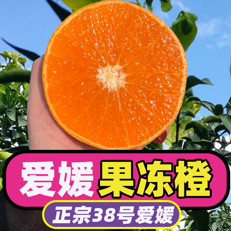 【爱媛38号果冻橙】正宗四川爱媛果冻橙新橙子多汁水果整箱包邮